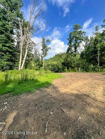 0 Straight Fork Rd, Vanceburg, KY 41179