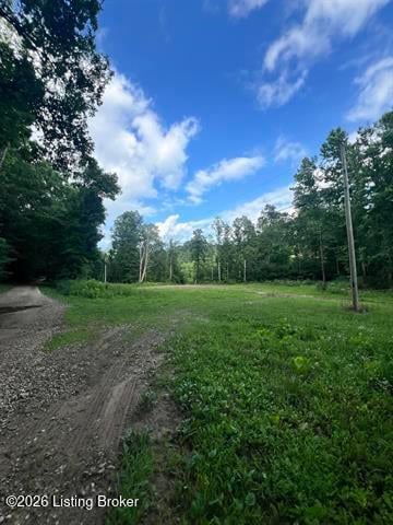 0 Straight Fork Rd, Vanceburg, KY 41179