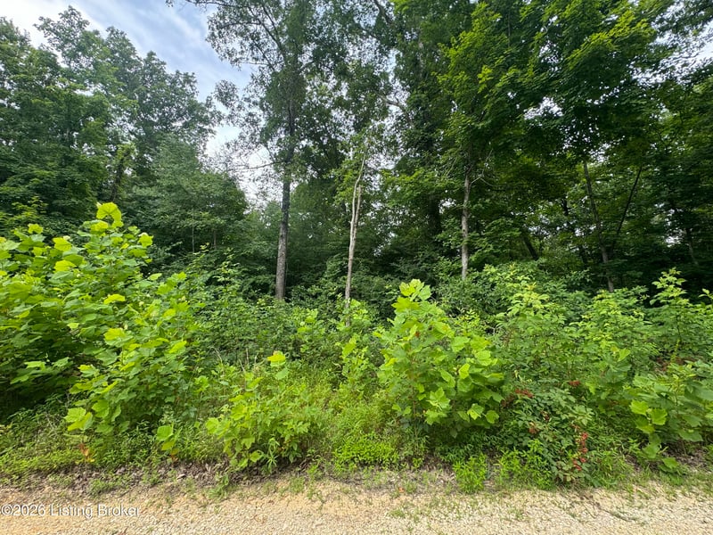 0 Ted Logsdon Rd, Clarkson, KY 42726