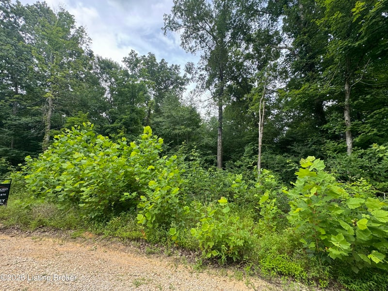0 Ted Logsdon Rd, Clarkson, KY 42726