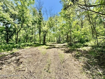 0 Three Lick Rd, Mackville, KY 40040