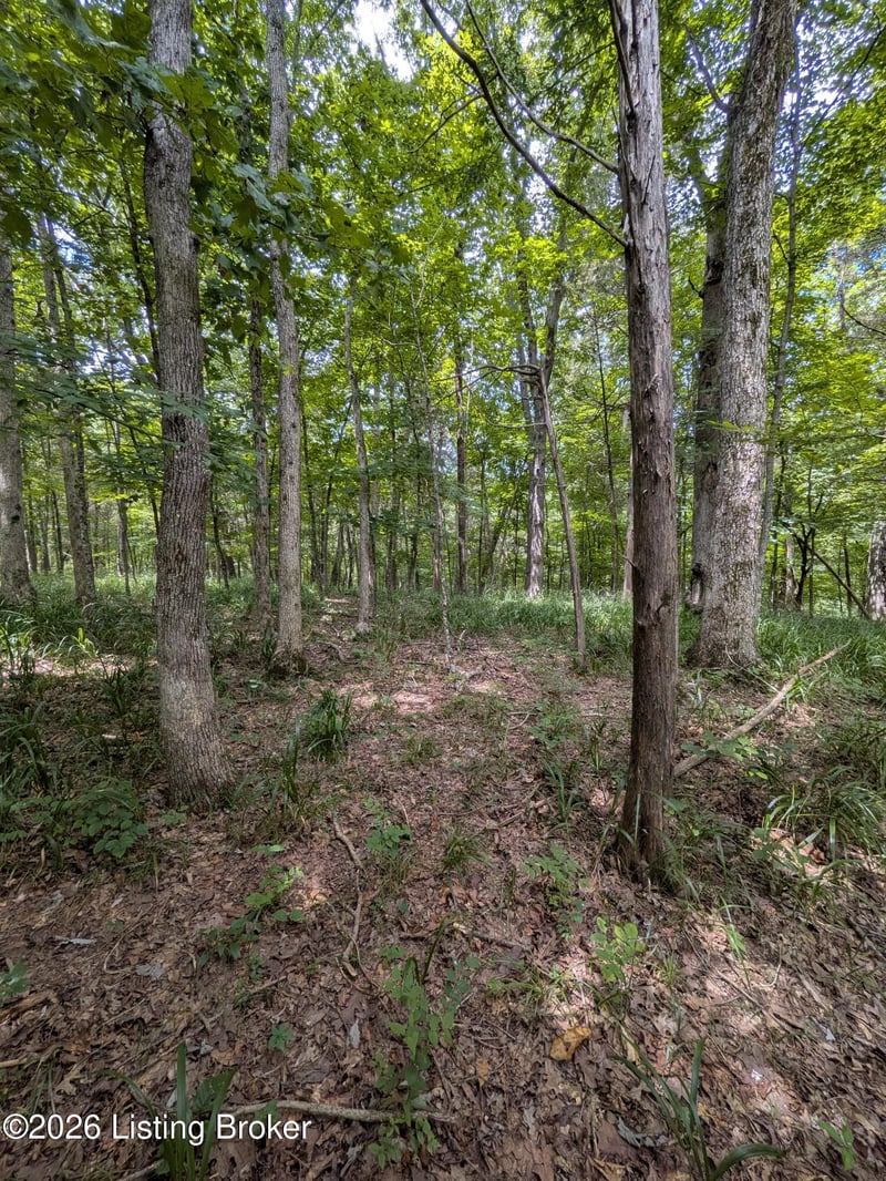0 Valley Ln, Shepherdsville, KY 40165