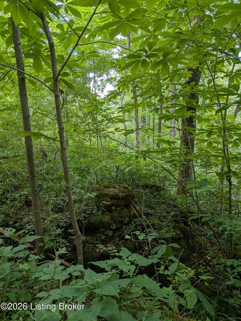 0 Valley Ln, Shepherdsville, KY 40165