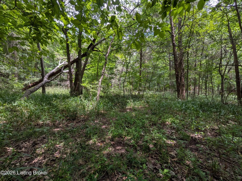 0 Valley Ln, Shepherdsville, KY 40165