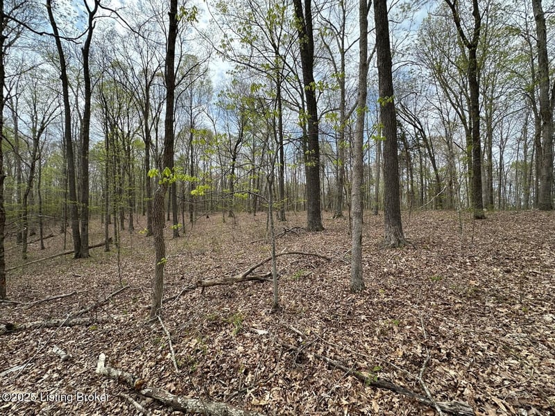 0 Vic Young Rd, Olaton, KY 42361