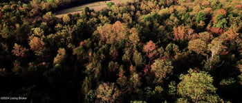 0 W 42 Hwy, Bedford, KY 40006
