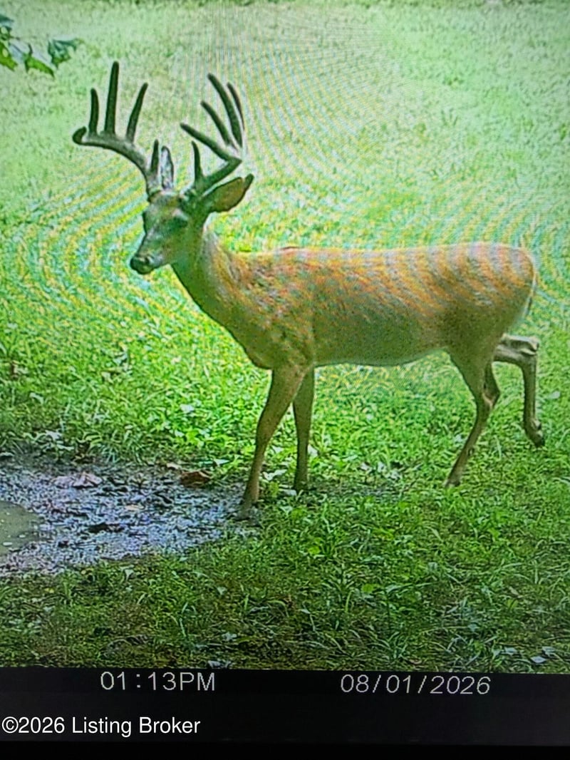 0 Wheeler Rd, Clarkson, KY 42726