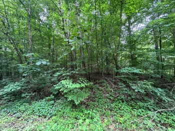 0 Winesap Dr, New Haven, KY 40051