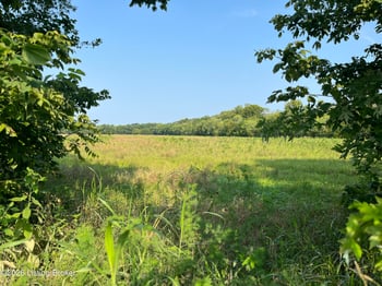 00 Falls Of Rough Rd, Caneyville, KY 42721