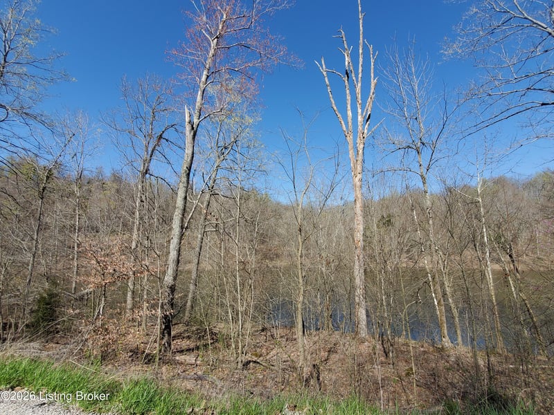 00 Patriot Shores Ln, Westview, KY 40178