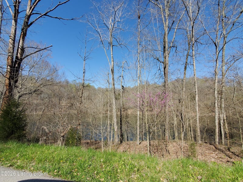 00 Patriot Shores Ln, Westview, KY 40178