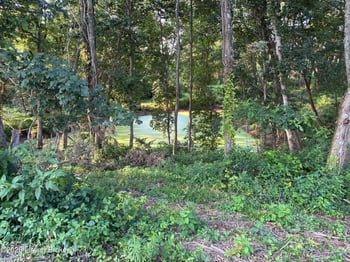 000 Button Ridge Rd, Bedford, KY 40006