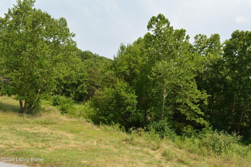0000 Carlisle Rd, Carrollton, KY 41008