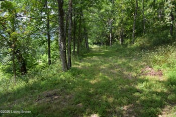 0000 Carlisle Rd, Carrollton, KY 41008