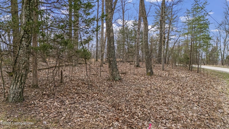 0000 Ponderosa Pl, Shepherdsville, KY 40165