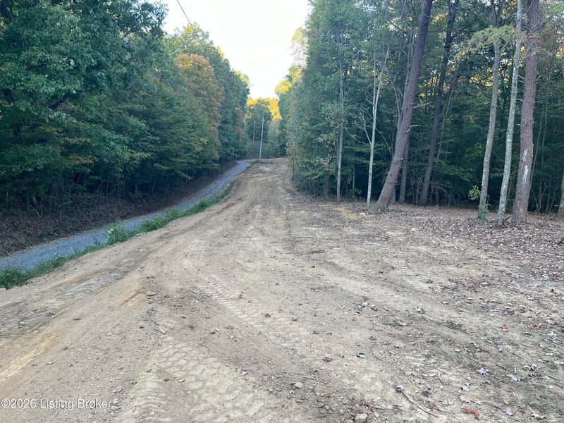 0012 Wildwood Ln, Caneyville, KY 42721