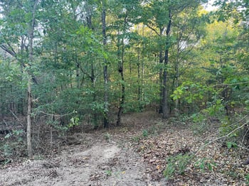 0012 Wildwood Ln, Caneyville, KY 42721