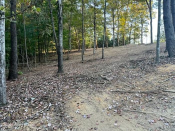 0013 Wildwood Ln, Caneyville, KY 42721