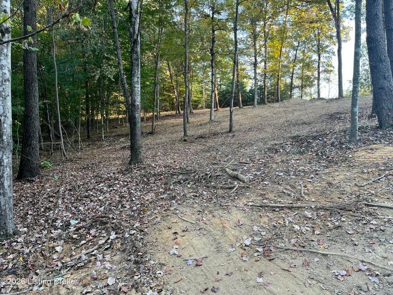 0013 Wildwood Ln, Caneyville, KY 42721