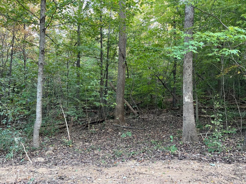 0014 Wildwood Ln, Caneyville, KY 42721