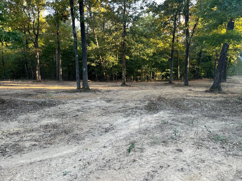 0014 Wildwood Ln, Caneyville, KY 42721