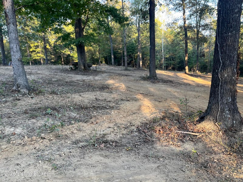 0014 Wildwood Ln, Caneyville, KY 42721