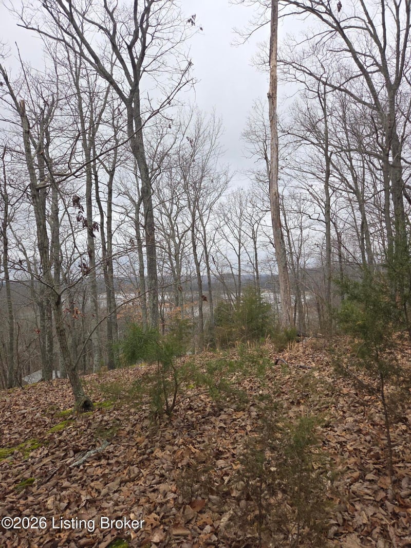 1-23 Hillcrest Dr, Cub Run, KY 42729