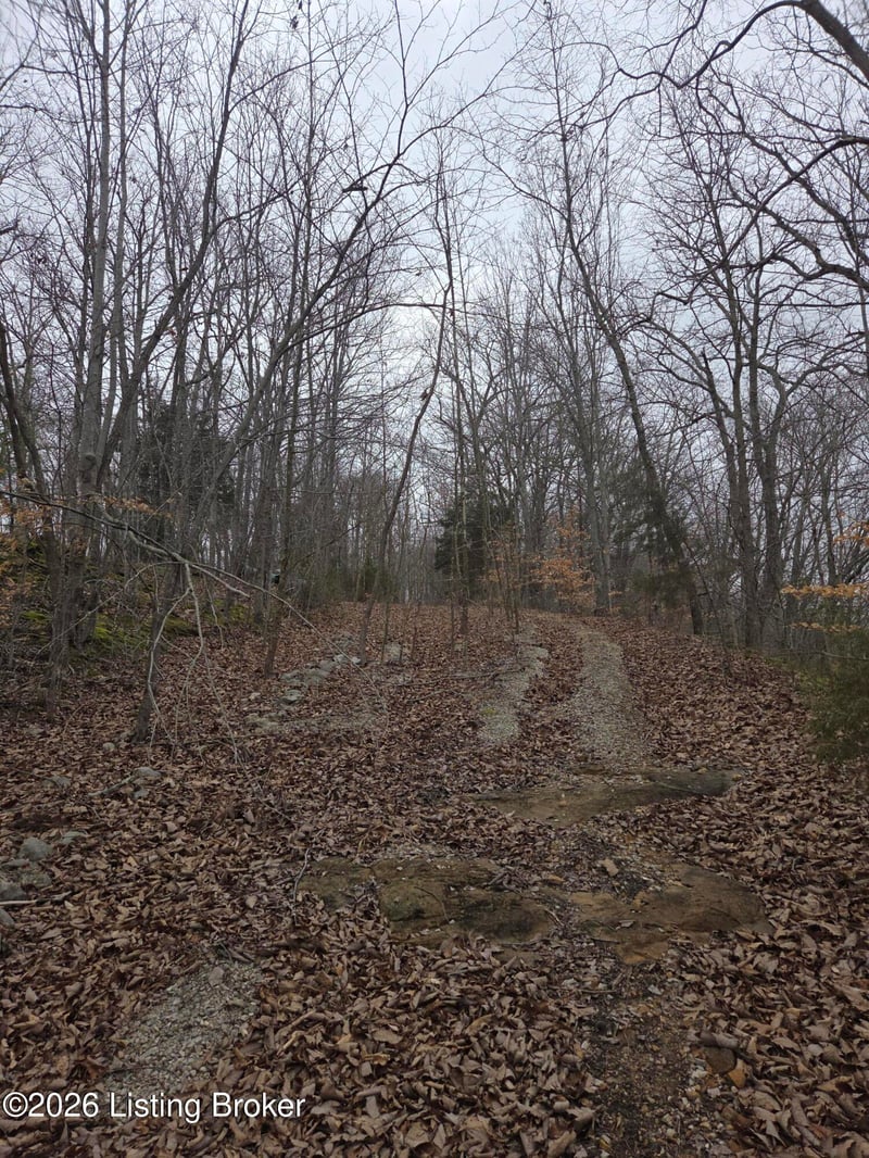 1-23 Hillcrest Dr, Cub Run, KY 42729