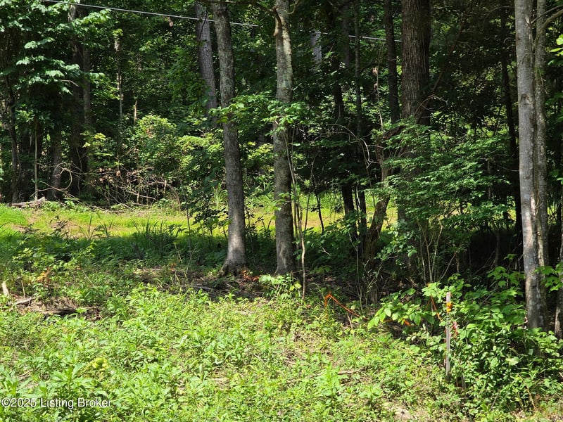 1 Cave Creek Rd, Falls Of Rough, KY 40119