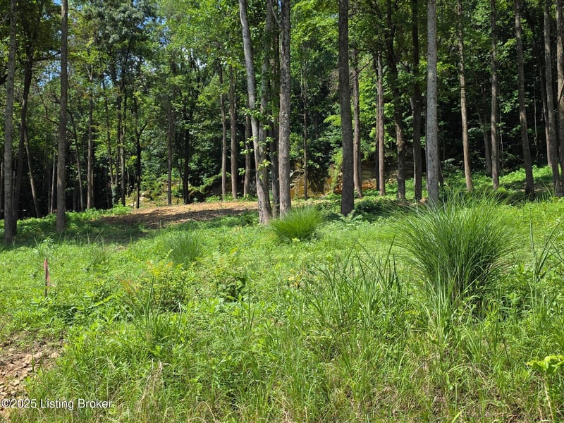 1 Cave Creek Rd, Falls Of Rough, KY 40119
