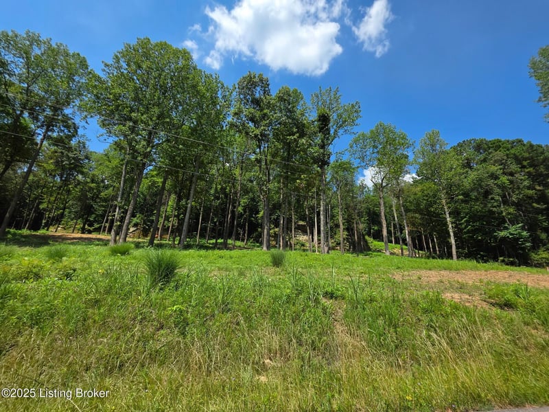 1 Cave Creek Rd, Falls Of Rough, KY 40119