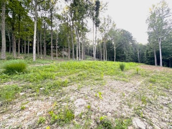 1 Cave Creek Rd, Falls Of Rough, KY 40119