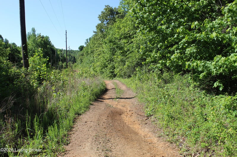 1 Ditney Hill Rd, Drakesboro, KY 42337