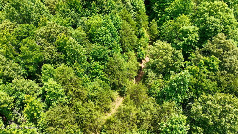 1 Ditney Hill Rd, Drakesboro, KY 42337