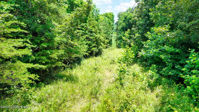 1 Ditney Hill Rd, Drakesboro, KY 42337