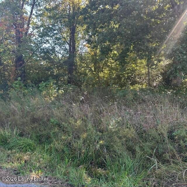 1 Forest Hill Rd, Shepherdsville, KY 40165