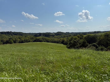 1 Highview Church Rd, Bloomfield, KY 40008