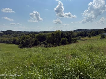 1 Highview Church Rd, Bloomfield, KY 40008