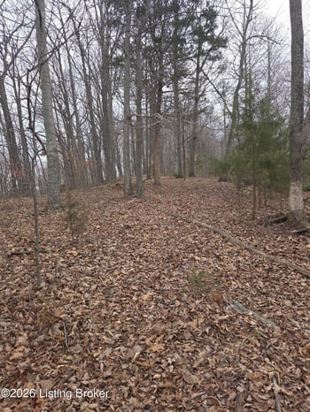 1 Hillcrest Ln, Cub Run, KY 42729