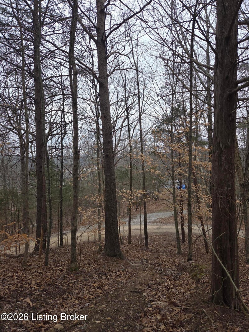 1 Hillcrest Ln, Cub Run, KY 42729