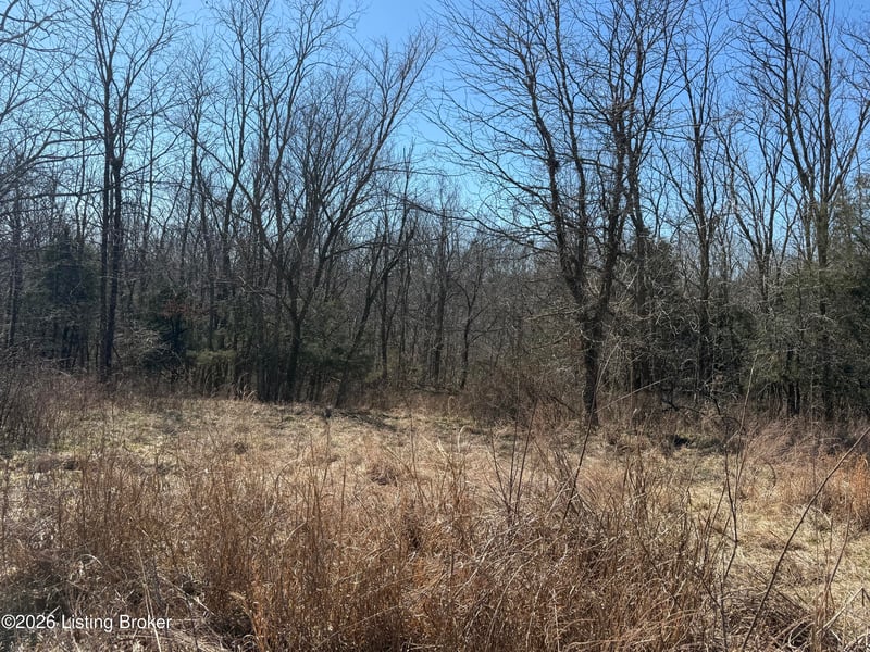1 Landings Ct, Willisburg, KY 40078