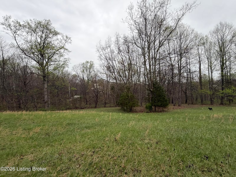 1 Mcdowell Rd, Bedford, KY 40006