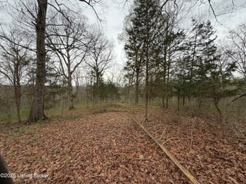 1 Mcdowell Rd, Bedford, KY 40006