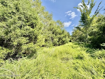 100 Gordon Ford, Willisburg, KY 40078