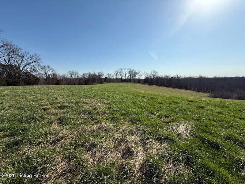 1001 Mike Brown Ln, Taylorsville, KY 40071
