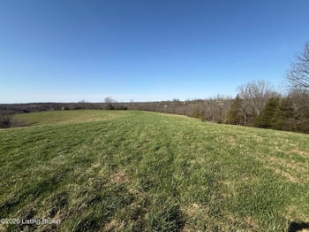 1001 Mike Brown Ln, Taylorsville, KY 40071