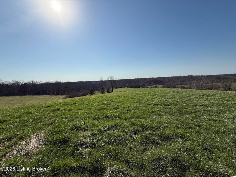 1001 Mike Brown Ln, Taylorsville, KY 40071