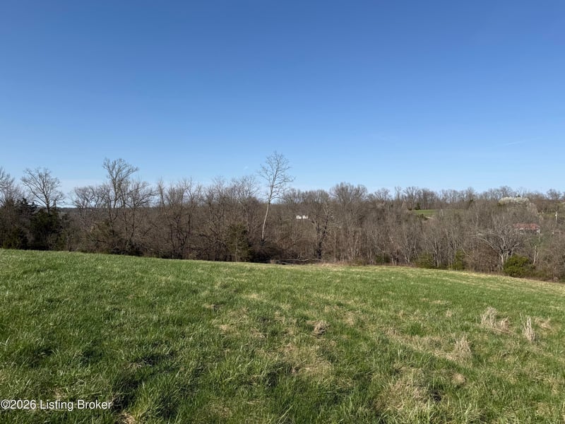 1001 Mike Brown Ln, Taylorsville, KY 40071