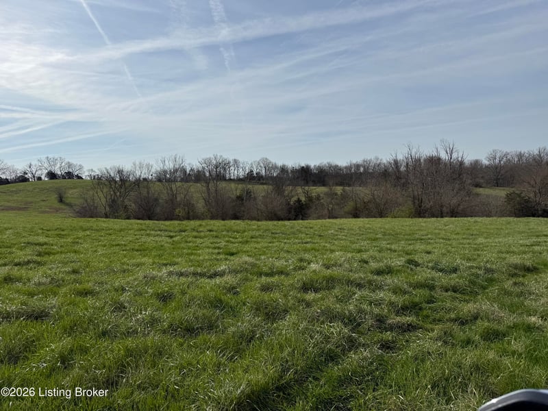 1005 Mike Brown Ln, Taylorsville, KY 40071