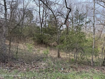 1005 Mike Brown Ln, Taylorsville, KY 40071